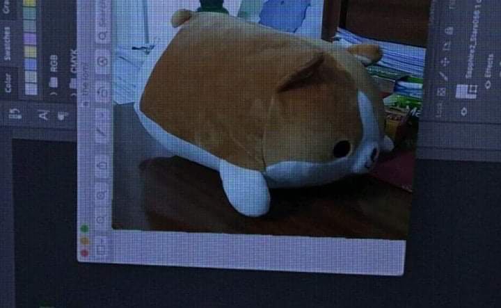 sản phẩm rất xinh xắn