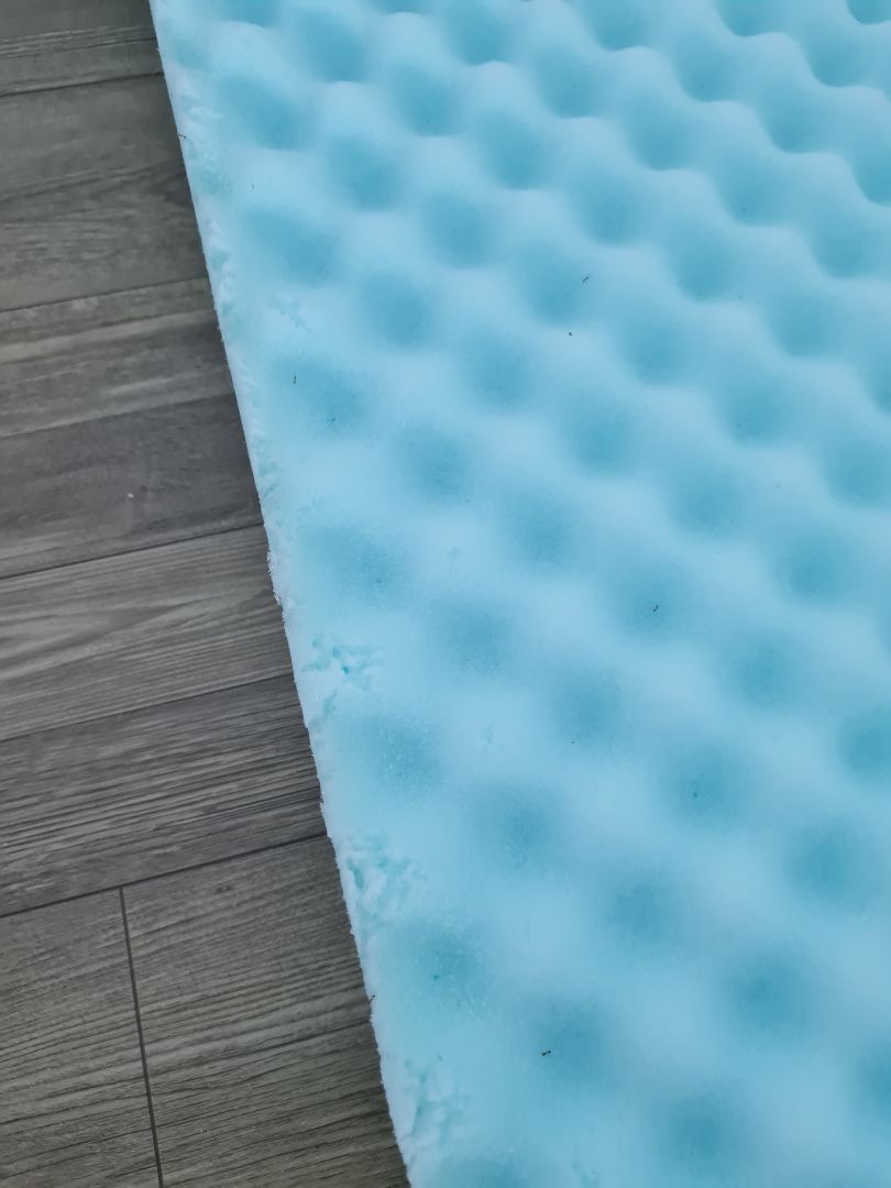 Trải nghiệm khá tệ khi lần đầu tiên mua nệm ở đây.
 Khi mua về phát hiện 1 lỗ thủng nhỏ nghĩ là trải drap giường nên không sao. 
3 ngày sau phát hiện kiến ở trên gác nơi đặt nệm. Và khi ngủ bị kiến cắn
Mình xịt kiến và tìm đường kiến vào nhà nhưng không thấy. Mấy ngày liền đều không hết
Cuối cùng phát hiện kiến chui ra từ cái lỗ nhỏ đó. 
Mở cái bọc nệm ra thì nguyên 1 ổ kiến lửa trong đó.
Liên hệ shop thì đổ lỗi do mình ăn uống nên kiến bu (mình chắc chắn không bao giờ mang đồ ăn lên gác)
Mà mới mấy ngày thì không thể nào kiến có thể kéo đến làm tổ và di chuyển vào đúng cái lỗ đã thủng sẵn được.
Sau khi diệt hết kiến trong nệm thì gác nhà mình không còn xuất hiện kiến nữa. Nhưng nệm thì hư và còn bụi nữa. Do kiến cắn hư hết foam
Hình mình chụp lúc phát hiện ổ kiến. Khi đã giết bớt mấy ngày trước rồi