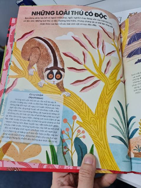 Sách ít trang, chữ hơi nhiều cho trẻ em xem, trang giấy đẹp.