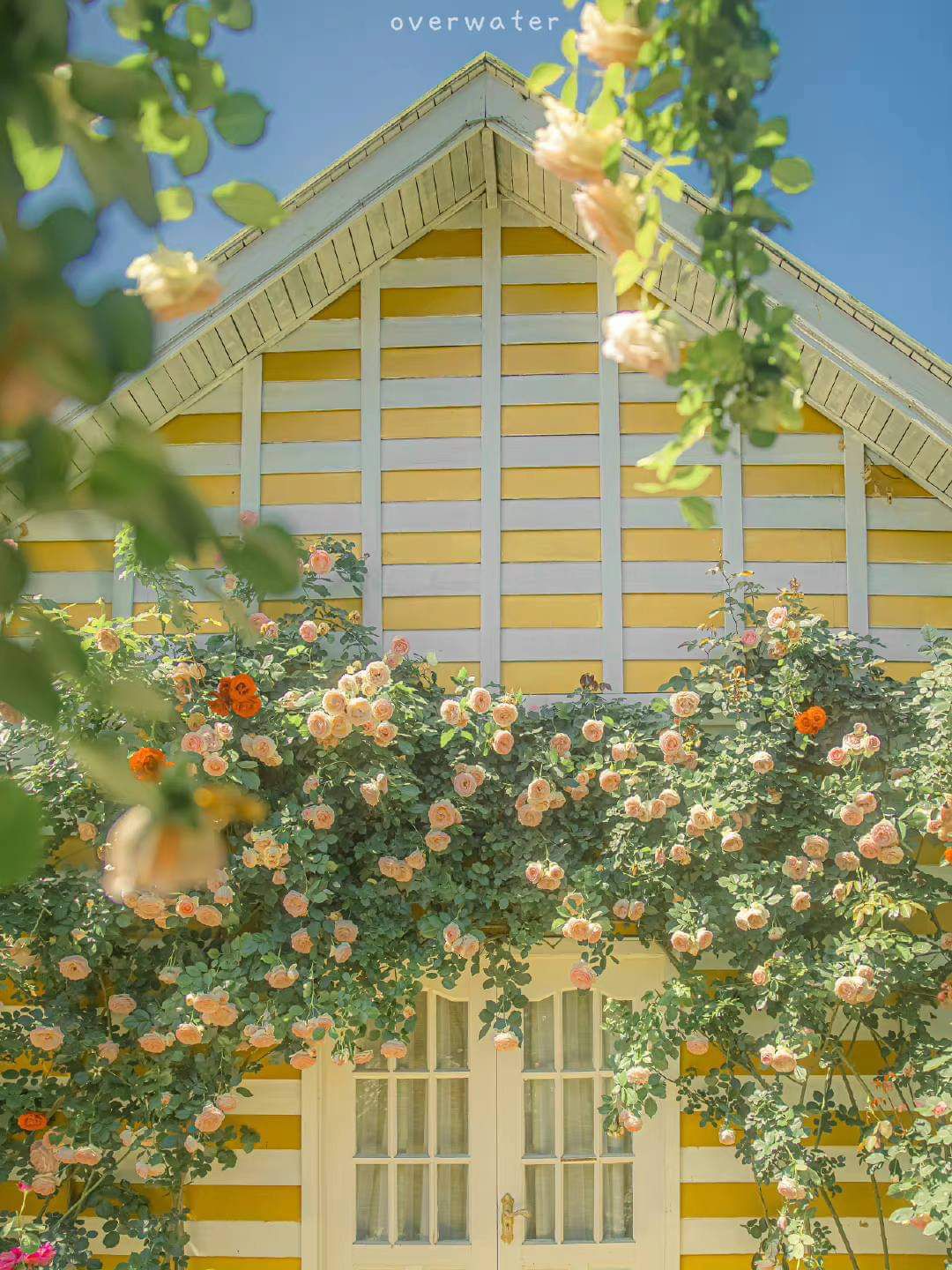 Giao nhanh, đóng gói cẩn thận. Mình sẽ dùng những cây này để vẽ và đăng trên ins: mari.mari.2709. Mình xin cảm ơn rất nhiều!