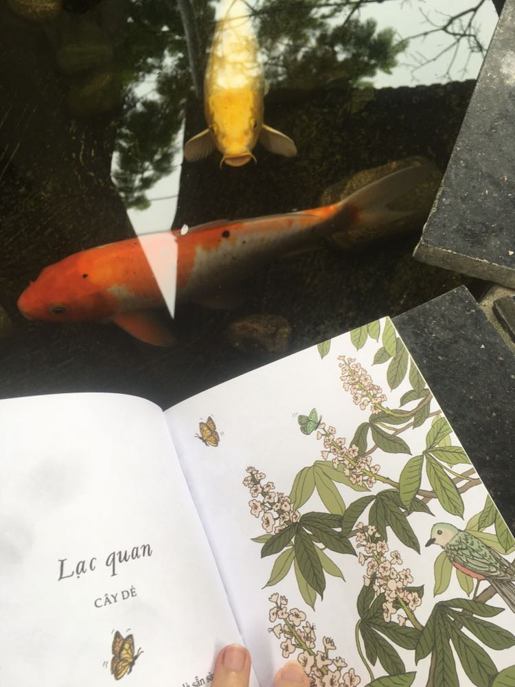 Cuốn sách truyền tải những bài học chiêm nghiệm được và nên học hỏi từ những cái cây. Thích hợp bắt đầu một ngày mới bằng một random *** thật nhẹ nhàng. Hay sau khi "nhồi nhét" những cuốn nhiều thông tin, đọc cuốn này như một khoảng nghỉ.