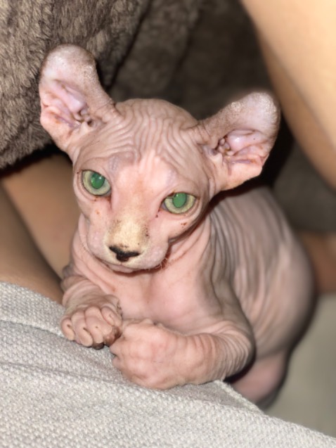 Sản phẩm chất lượng, không gặp vấn đề nào, sẽ ủng hộ thêm sản phẩm của shop