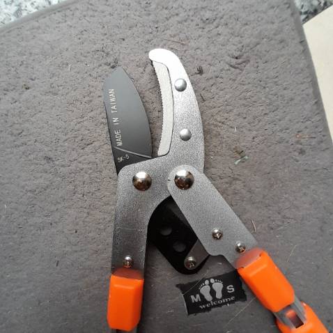 Kéo tốt xịn xò , chất lượng
Giá rẻ nữa. Made in nhật - đài loan
Cáng nhôm bọc su êm ái
Shop tư vấn khá nhiệt tình và