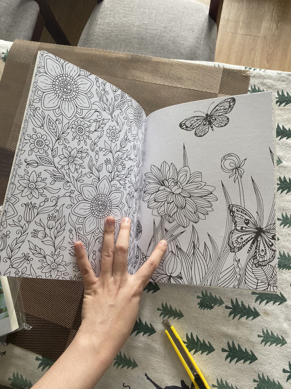 Giấy dày tô ko sợ hằn trang sau, hình ảnh xinh đẹp lắm ah, bìa đẹp. Tô xả stress tô muốn khùng luôn 😂