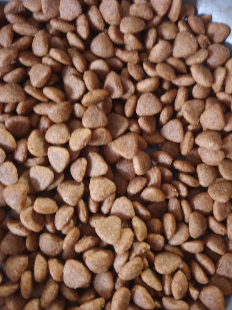 hạt mèo rất thích. shop bán giá rất rẻ so với chỗ khác. cám ơn shop. hàng đúng hãng nguyên bao bì. đóng gói tốt hạt mèo rất thích. shop bán giá rất rẻ so với chỗ khác. cám ơn shop. hàng đúng hãng nguyên bao bì. đóng gói tốt