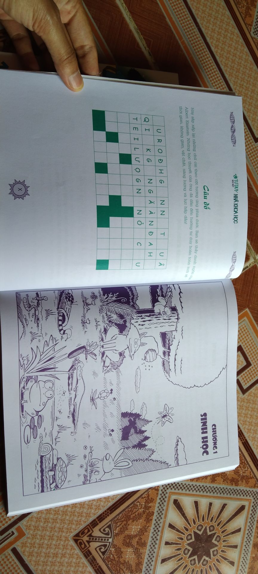 Vận chuyển nhanh, chất lượng tốt