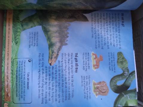 Rẻ mà chất lượng. Giấy in màu đẹp thậm chí có cả link video