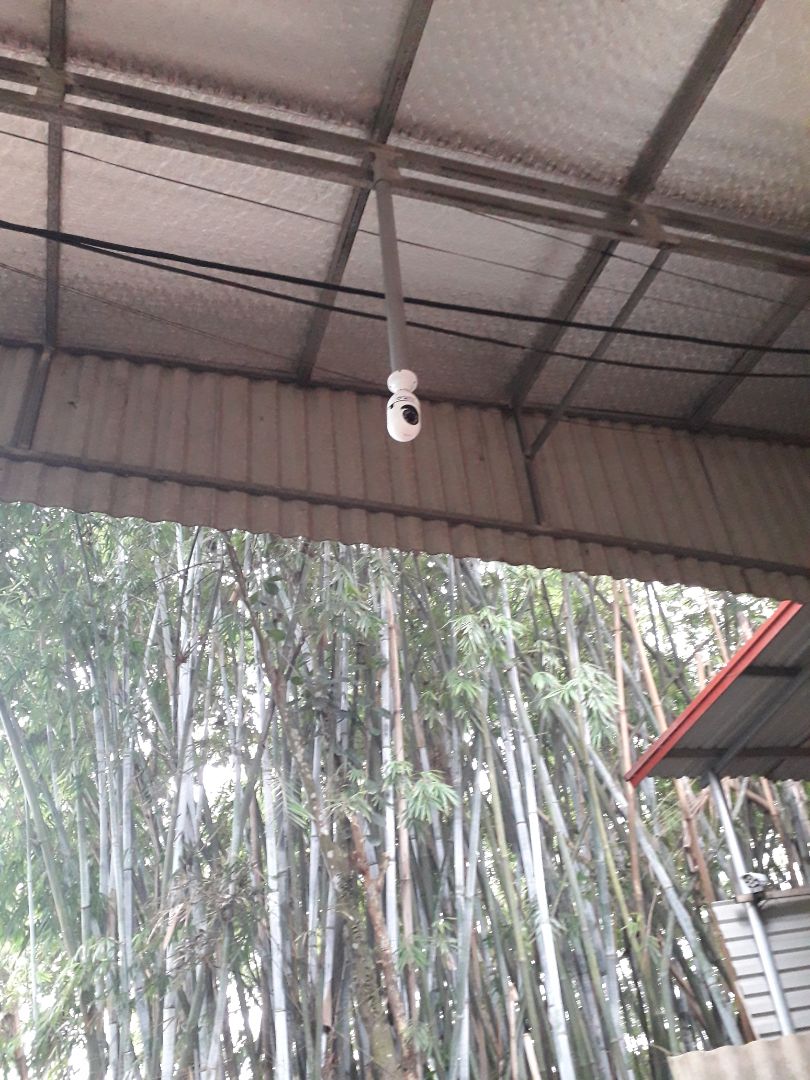 Quá tốt. Nét và hình ảnh đẹp