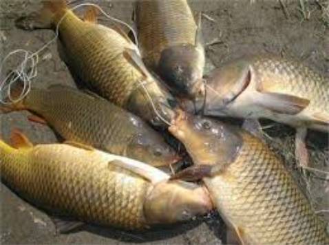 Sản phẩm rất tuyệt vời rất là đẹp rất uy tín