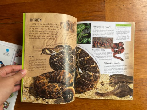 Sách in đẹp, nội dung quá ổn, thích hợp với bạn nào dạy theo pp Montessori & để con đọc khám phá thêm về thế giới