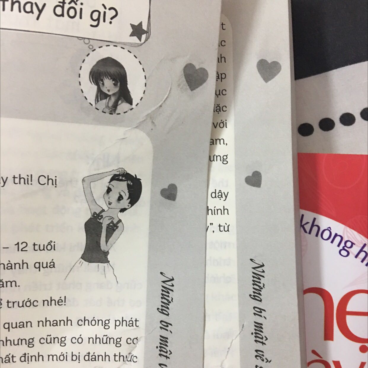 Sách mình nhận được bị rách mất mấy trang :(