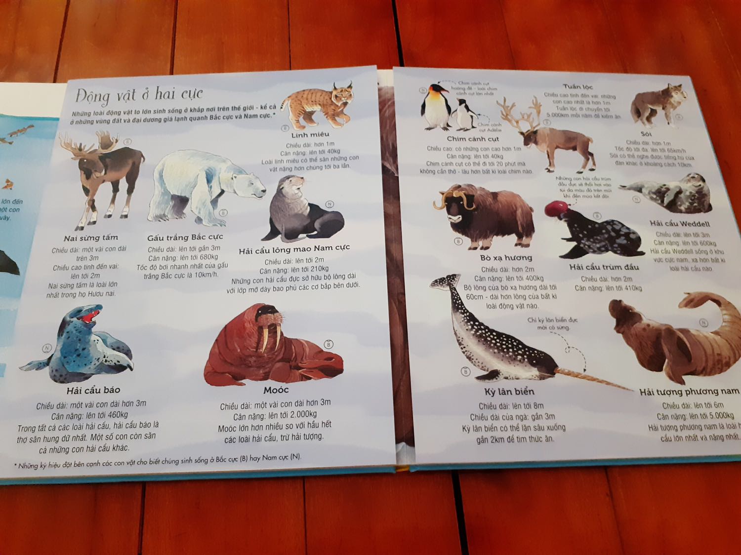 Đặt 1 cuốn tặng cho 1 bạn nhỏ :) và hình ảnh mẹ của bạn Feedback lại :v 
Nên gửi lại tặng shop :)