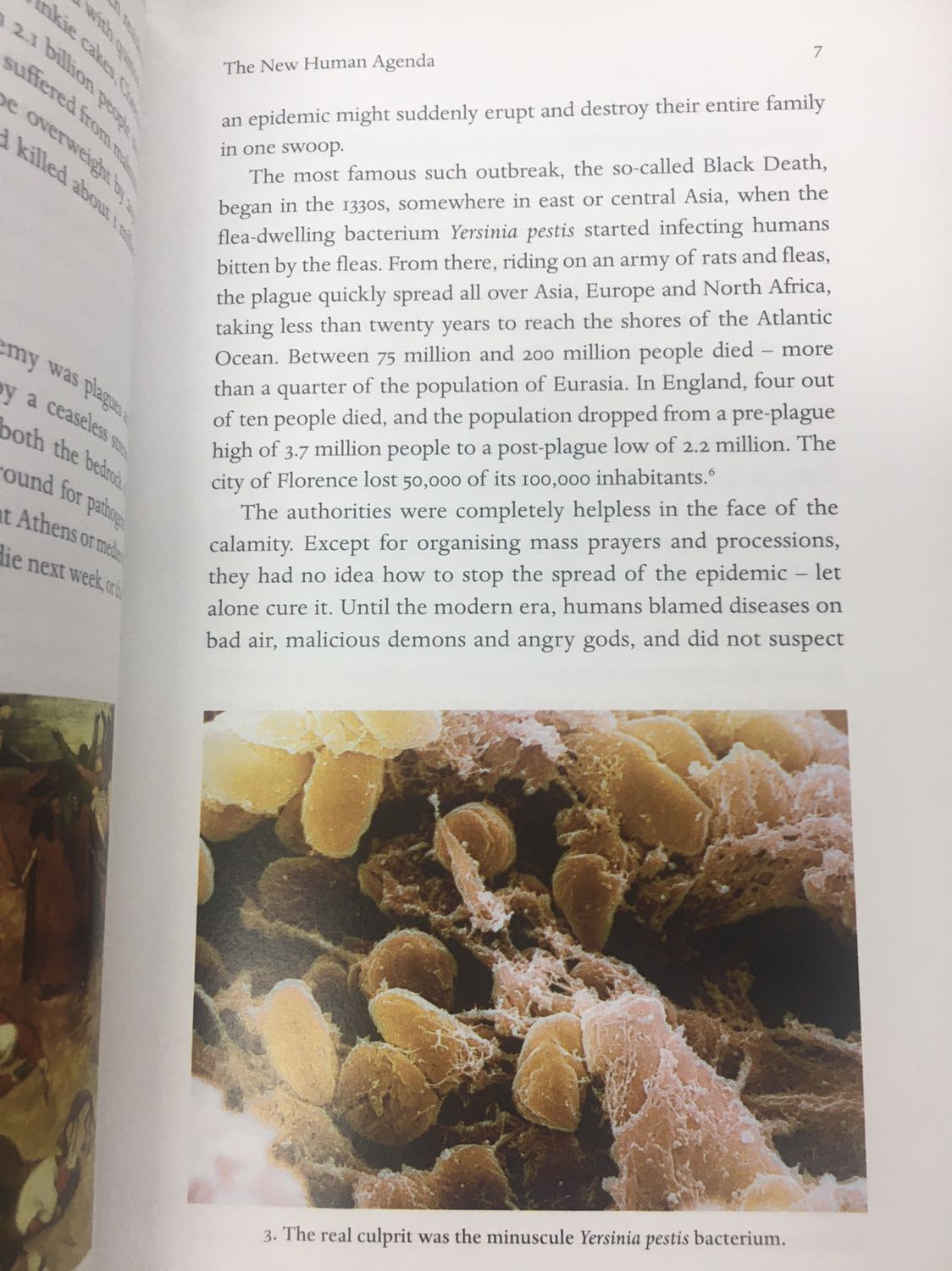 Quyển sách tuyệt vời. Sách đẹp đến từng trang, in màu, chữ đậm, hình ảnh minh hoạ sống động. Sách tiếng anh đáng đồng tiền bát gạo.