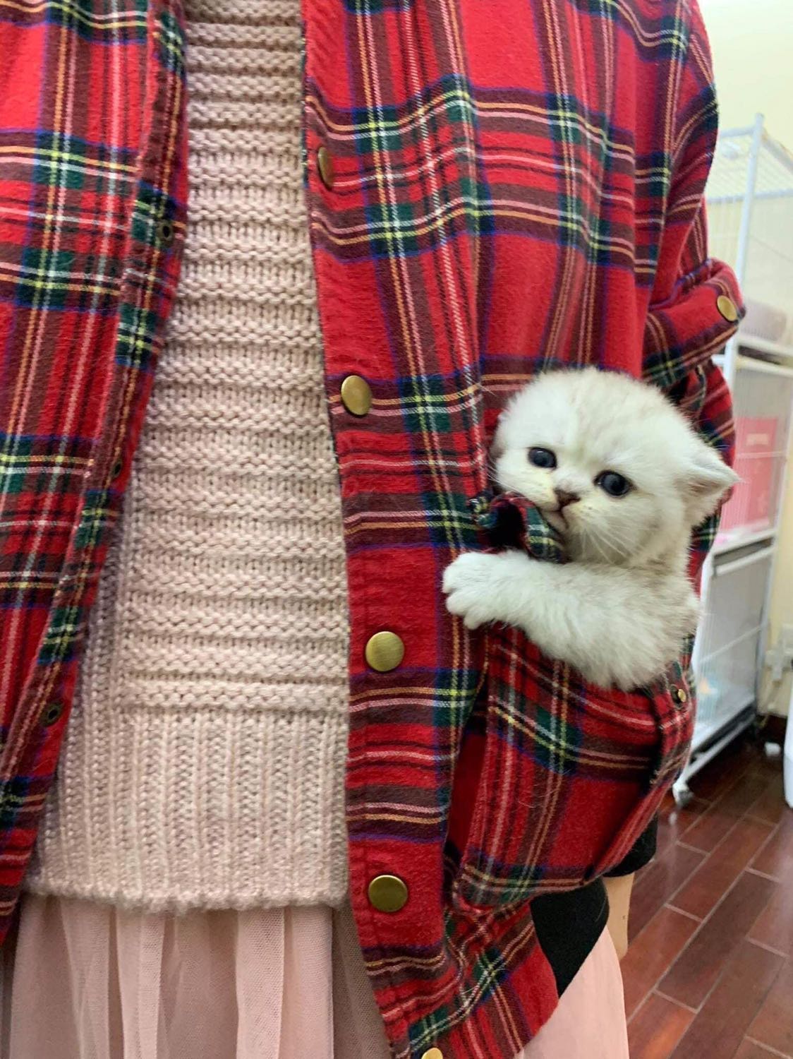 Sản phẩm bé nhà mình dùng từ nhỏ đến giờ 
Thơm , mịn 
Hàng chính hãng 
Giao hàng nhanh 
Luôn yêu Tiki ♥️ Sản phẩm bé nhà mình dùng từ nhỏ đến giờ 
Thơm , mịn 
Hàng chính hãng 
Giao hàng nhanh 
Luôn yêu Tiki ♥️