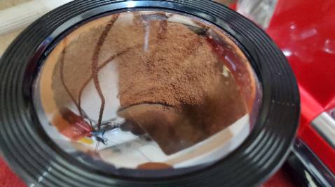 Ban đầu phân vân, mua về để xay rồi pha máy akaka quá đỉnh luôn, xay càng lâu càng mịn nhé các bạn,