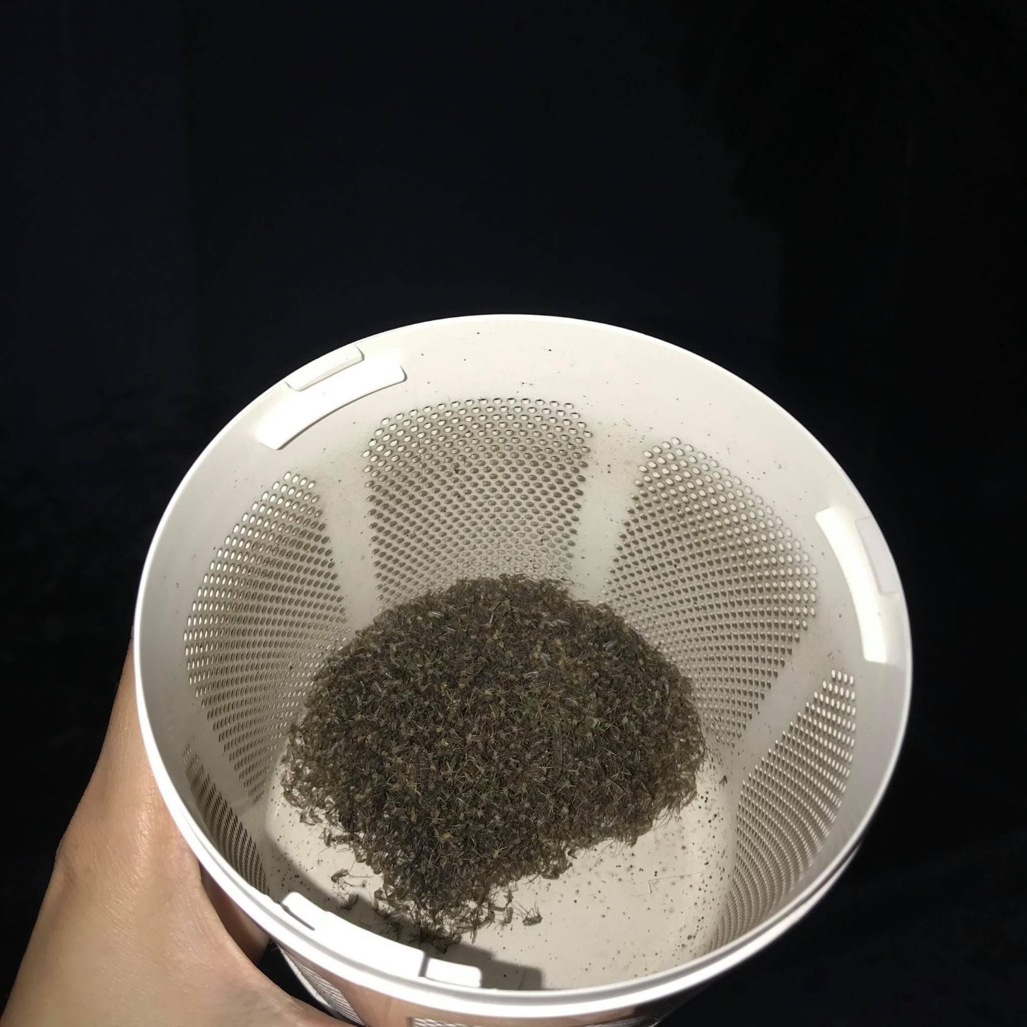 Mình sử dụng máy ở nhà mẹ mình và cho kết quả khá bất ngờ sau khoảng 3 ngày căm máy. lúc mở ra xem mình ngạc nhiên thực sự vì kết quả của sản phẩm