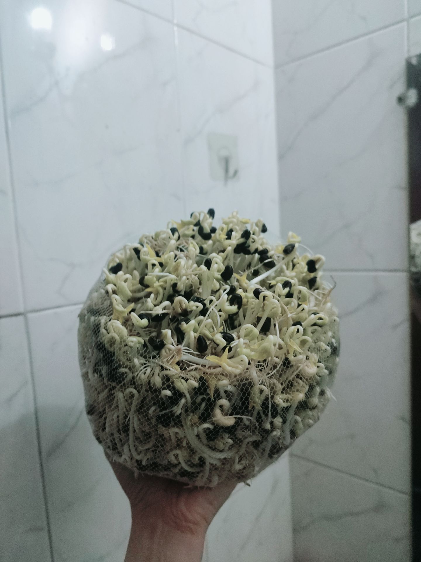 ngon, giao nhanh, đóng kĩ