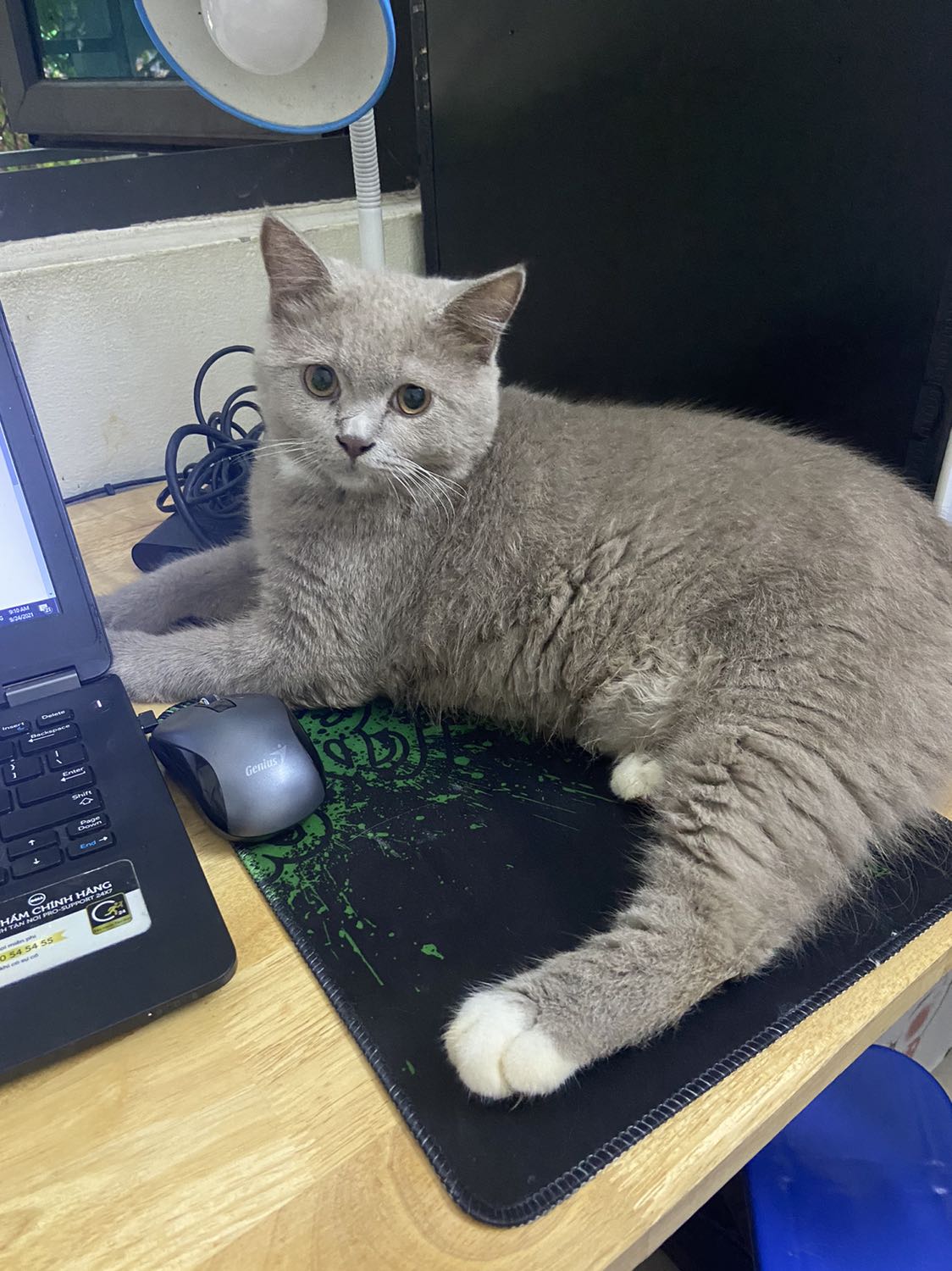 Đóng gói cẩn thận, mình chưa đọc