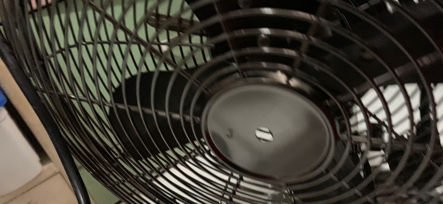 giống quảng cáo