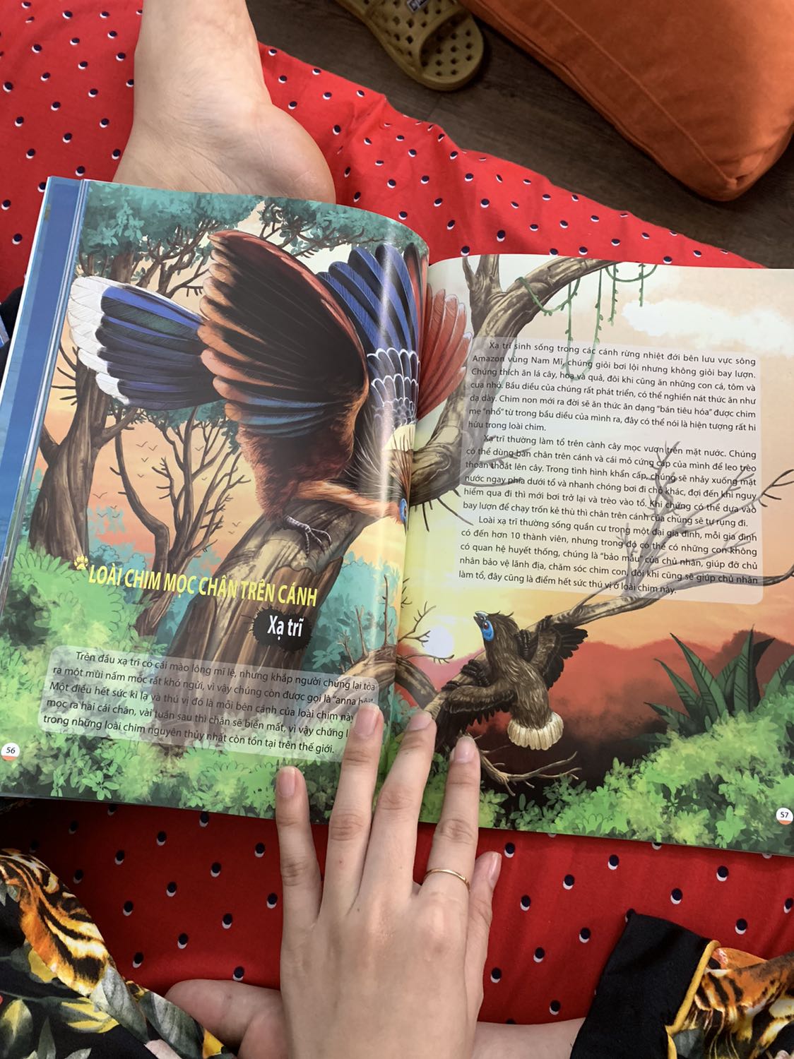 In đẹp
Tốt
Nội dung ok