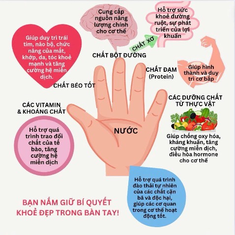 Nên có 1 cuốn trong nhà, bộ sách lưu thông máu quá hay