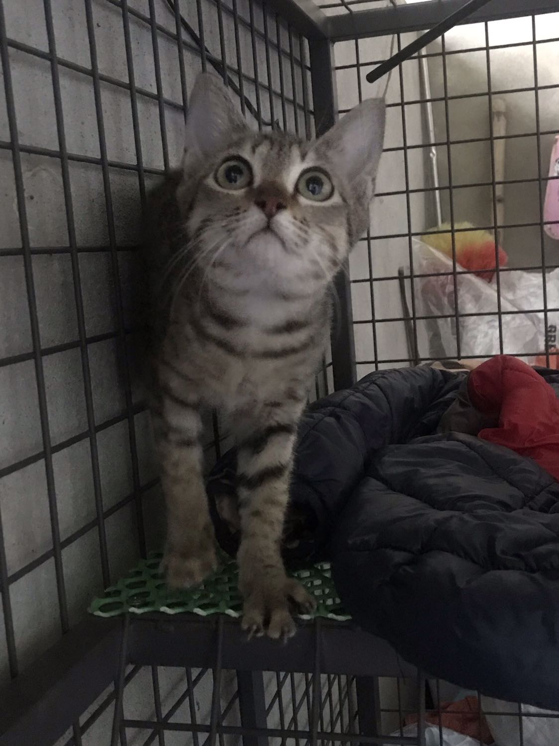 Hàng chất lượng