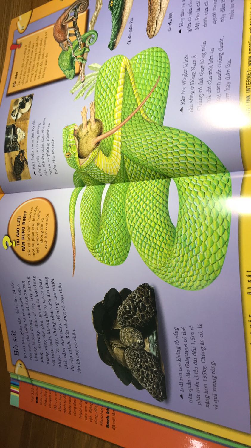 Tiki giao hàng nhanh. 
Quyển Bách Khoa này bao gồm về động vật, trái đất, không gian, cơ thể...
Sách cũng khá dày, bổ ích và thú vị. Rất hài lòng