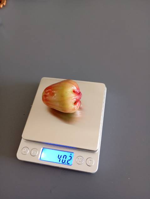 Cân đẹp, có hộp nắp bảo vệ, chống bụi và chắc sẽ bền hơn. Cân chính xác