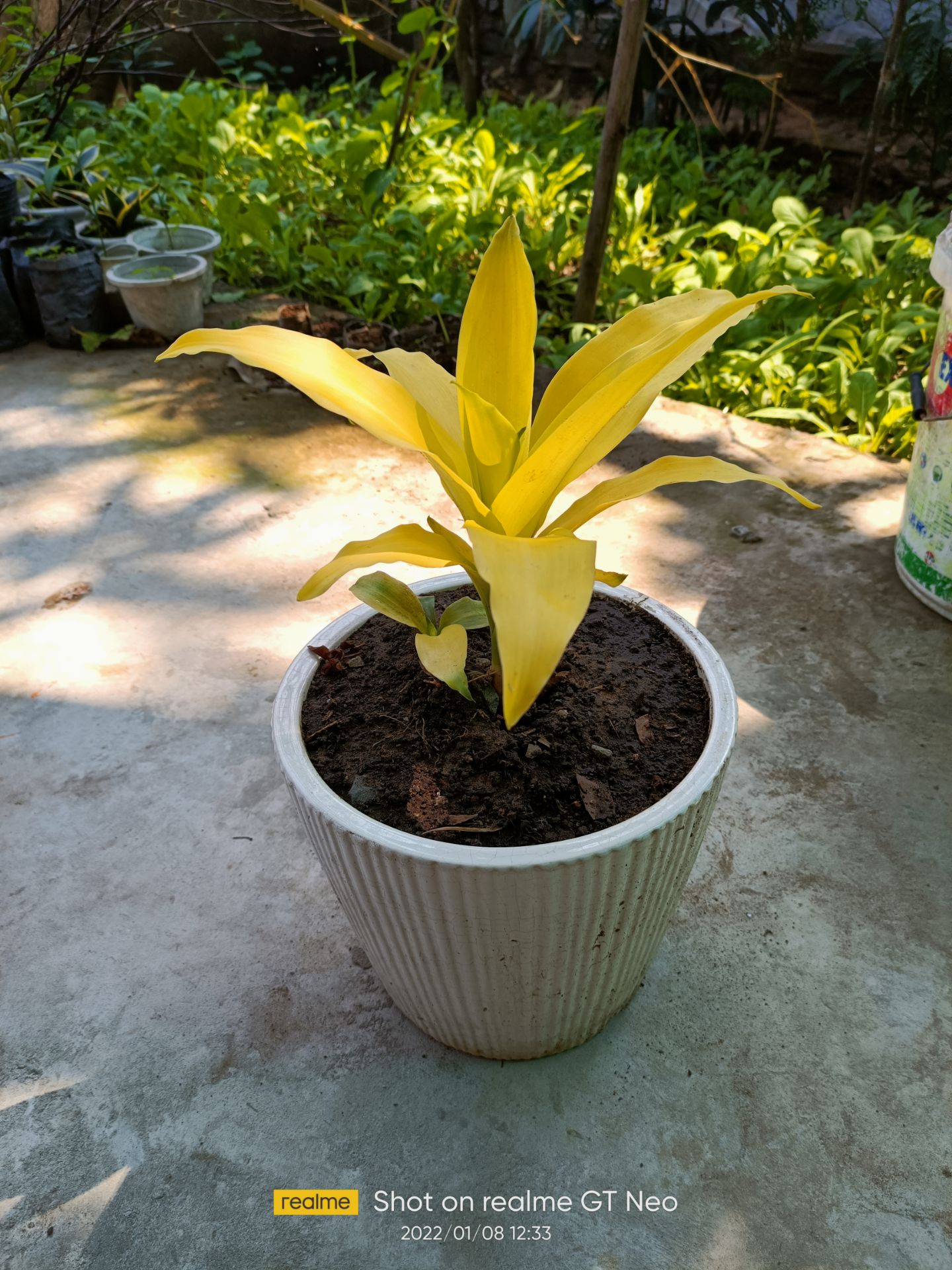 hàng rất tốt. hút chân không nên bảo quản lâu. tks shop hàng rất tốt. hút chân không nên bảo quản lâu. tks shop