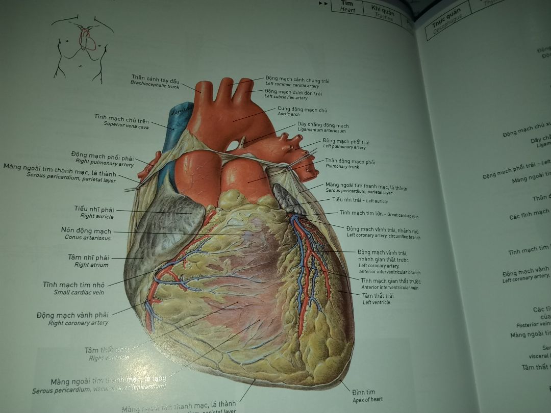 Sách đóng gói tốt giao hàng nhanh. M mua sách của fahasa  . Sách trình bầy dễ hiểu dễ tra theo từng phần . Còn nội dung chi tiết m chưa đọc . đánh giá không bao gồm nội dung chi tiết trong sách nhé.