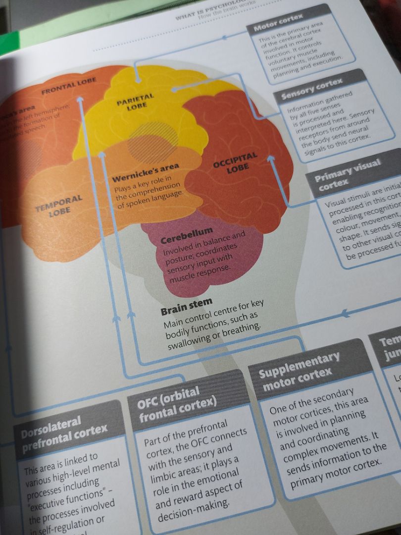 sách in màu bìa cứng giấy dày dặn nhiều hình minh họa dễ hiểu lắm bạn nào hứng thú với ngành tâm lý thì nên mua nhaa
