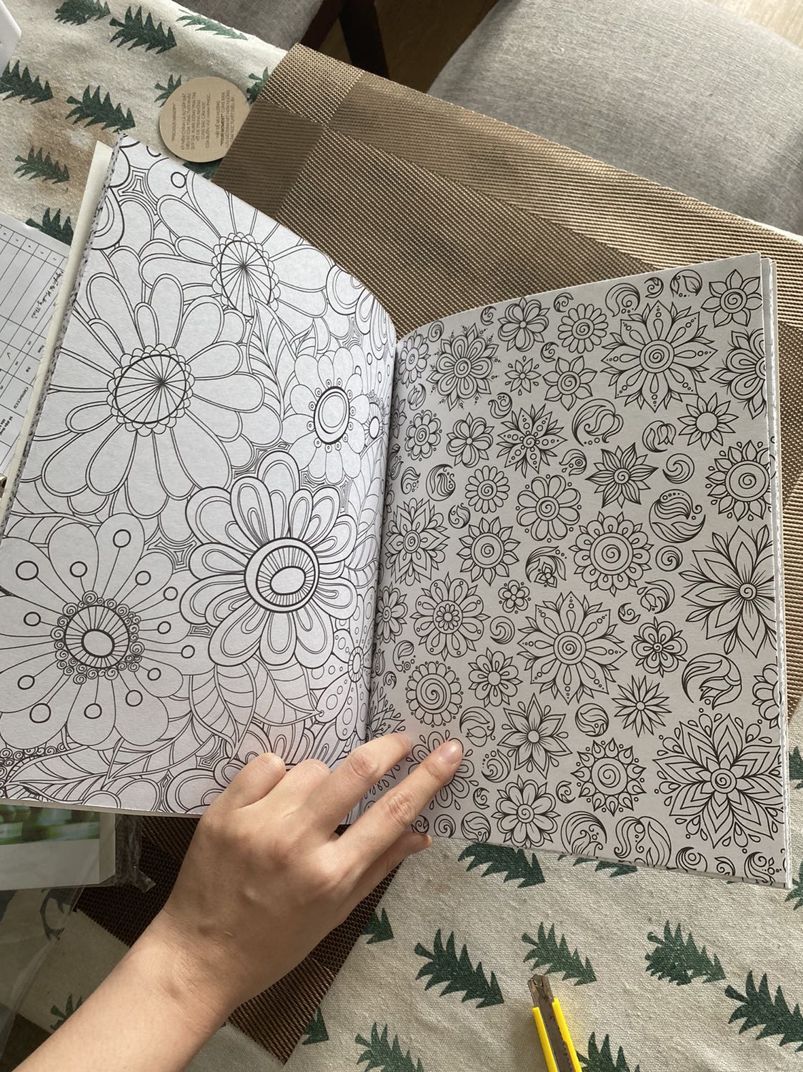 Giấy dày tô ko sợ hằn trang sau, hình ảnh xinh đẹp lắm ah, bìa đẹp. Tô xả stress tô muốn khùng luôn 😂