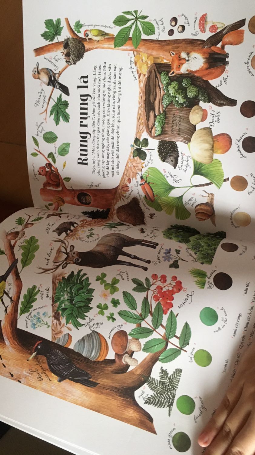 Sách đẹp lắm, bìa cứng màu in sặc sỡ, song ngữ cực thú vị. Người lớn hay trẻ em đọc đều mê. Bố mẹ đọc với con là nhất đó.