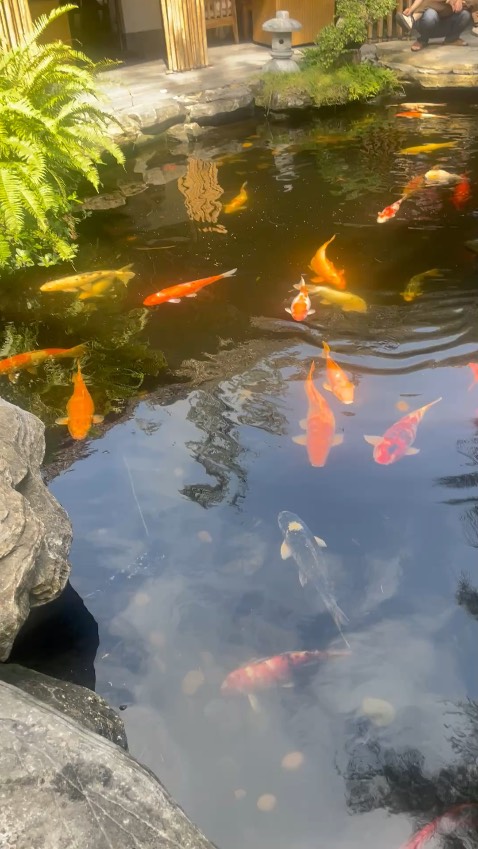 Mình sơ ý chọn sai địa chỉ nhận hàng, khi người giao điện thoại mới biết, Tiki đã hỗ trợ thay đổi địa chỉ nhận hàng cho mình, cảm ơn bạn rất nhiều. Hình ảnh mang tính chất nhận xu, còn sách thì rất tuyệt vời rồi!