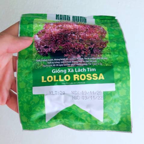 Hạt giống chất lượng tốt. Cây con bắt đầu lên màu tím đỏ sau 22 ngày ươm. Hạt giống nhiều & ngày sản xuất cũng khá mới (2020.Nov).