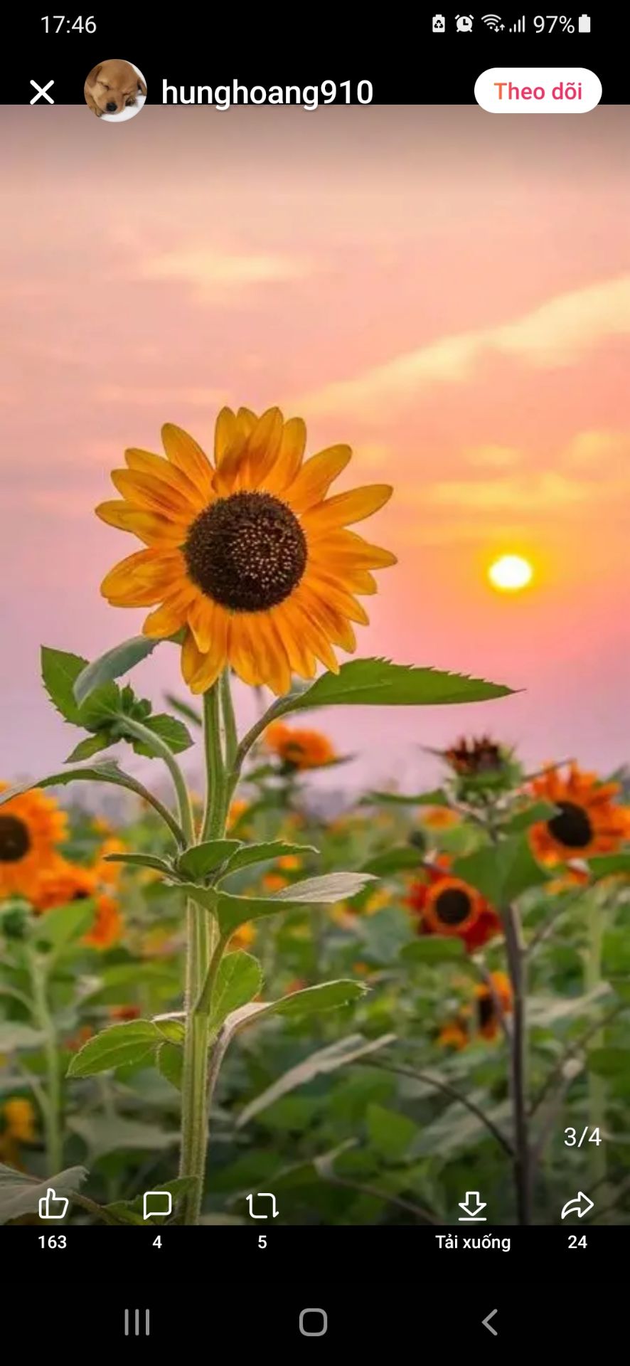 áo mặc rất êm, thoải mái dễ chịu. Hàng Chính hãng nên rất yên tâm về sp, ngực ai nhỏ cũng không bị hở phần trên ngực, mặc áo ko bị lộ... nói chung tuyệt vời. 👍 cảm ơn shop nhiều!