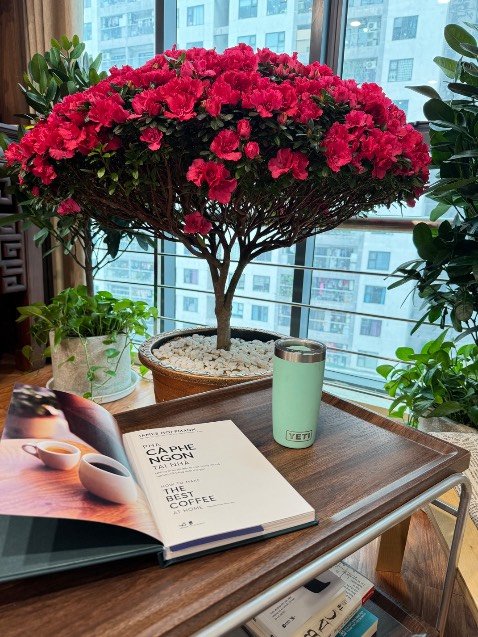 Sách siêu đẹp. In màu. Chất liệu giấy đẹp