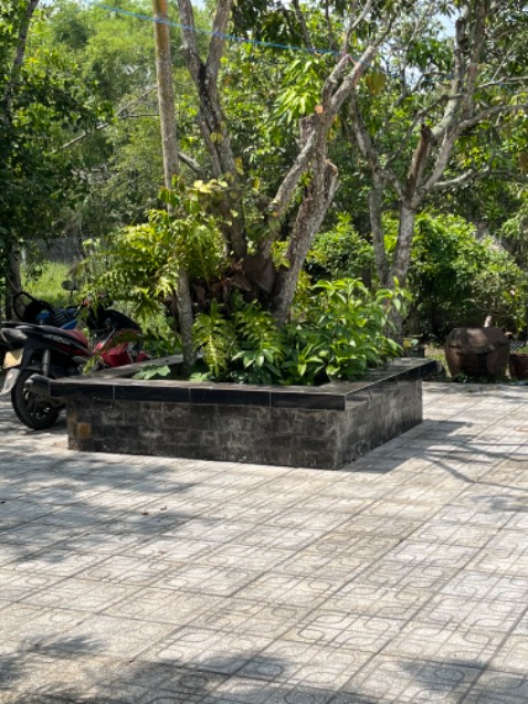 Mùi thơm dễ chịu, không khói.