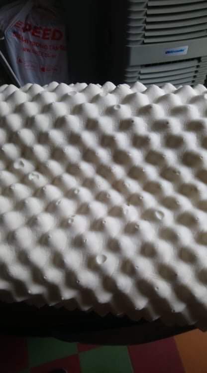 Chất lượng quá kém so với giá tiền sản phẩm. Lúc tôi mở xa xem thì thấy các đầu gai của gối đã bị mủn và rớt ra. Gối cao su nhưng cảm giác rất mềm không giống cao su lắm. Tôi đã dùng loại gối này gần 10 năm nay nhưng gối cũ của tôi chưa bao giờ có chất lượng giống vậy. 
Tôi yêu cầu được đổi sản phẩm đúng chất lượng.