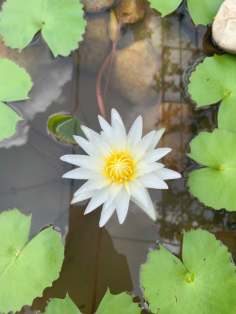 Hàng chất lượng đã và đang dùng, giao hàng cẩn thân