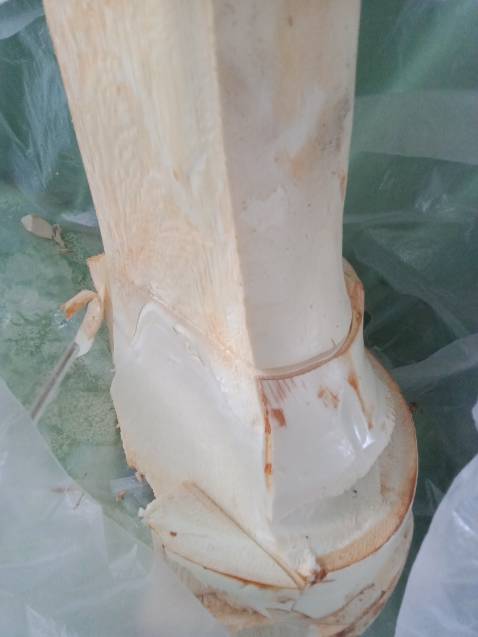 Tốt lắm sản phẩm đẹp phải mua thêm