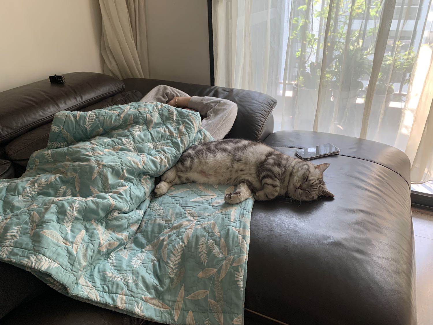 Giao siêu nhanh, Tao Đàn sử dụng bọc cát tông chuyên dụng quá chuyên nghiệp