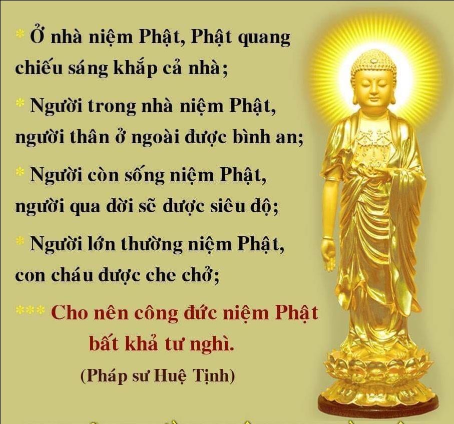 loại nước này mình đã dùng rồi, uống rất ngon. mình mua giúp cho anh trai nên ko có ảnh