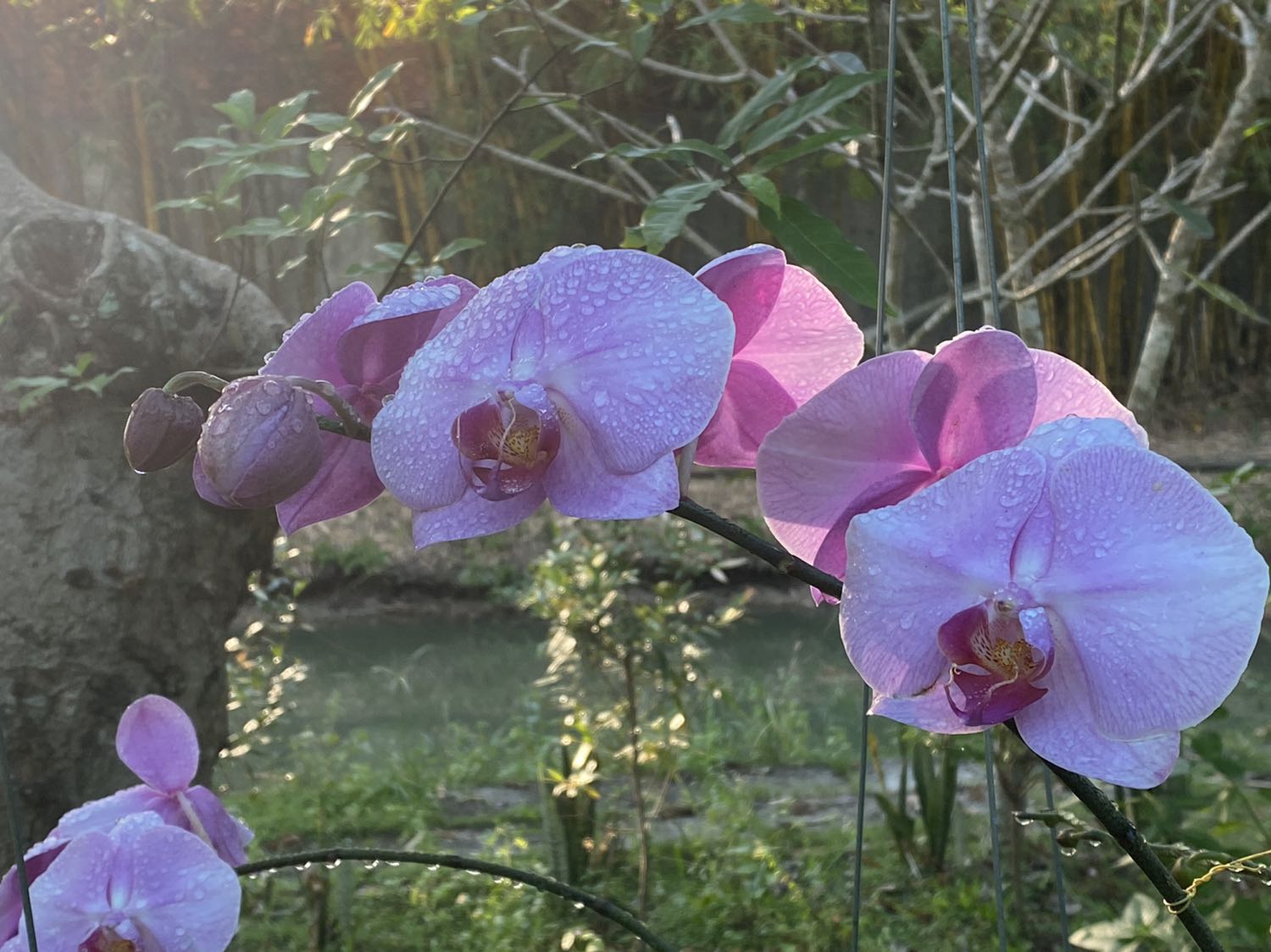 Sản phẩm oke, đẹp. Shop đóng gói cẩn thận, giao hàng nhanh.