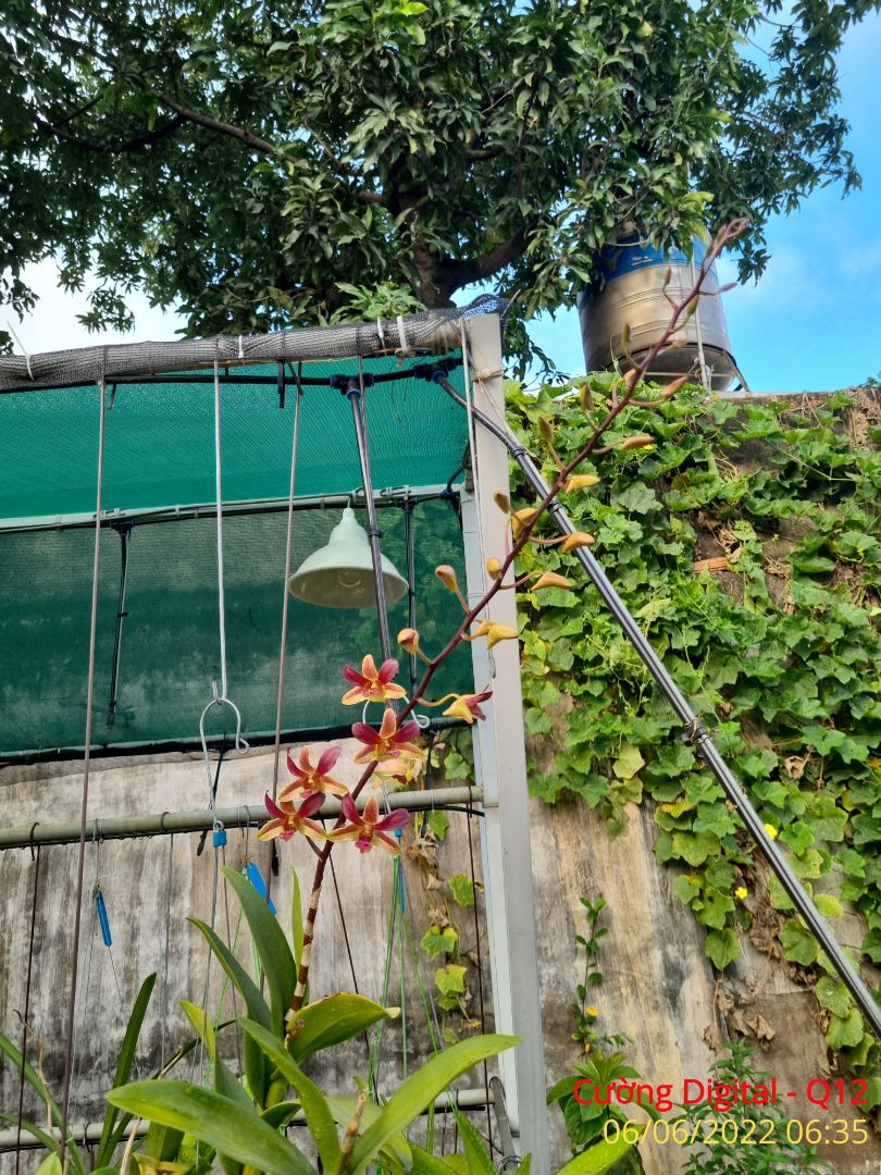 sản phẩm rất tốt