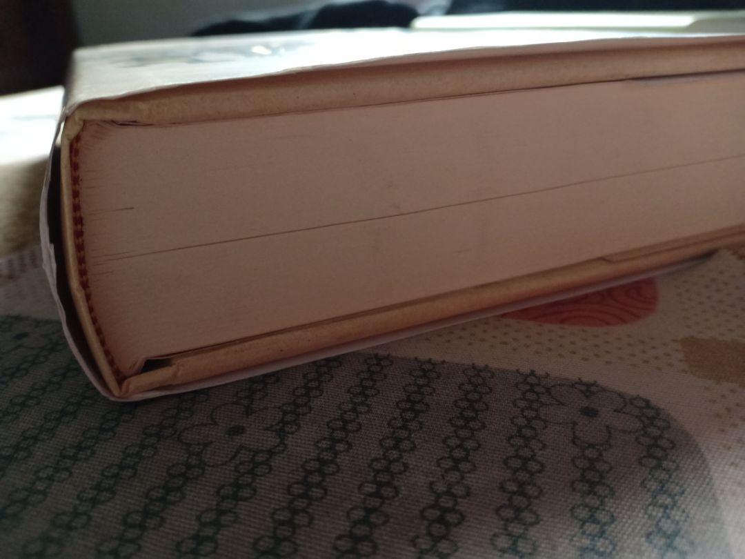 Khâu chuẩn bị và đóng gói hàng của Tiki thật sự rất tệ. Hàng mình nhận được quyển nào cũng bụi bẩn nhưng quyển này là tệ nhất. Bìa sách nhăn, bị lõm vết, bị rạch, còn có những vệt đen lau không sạch. Giá bìa không phải rẻ nên hàng nhận được rất không hài lòng. Mong Tiki xem xét lại!!!