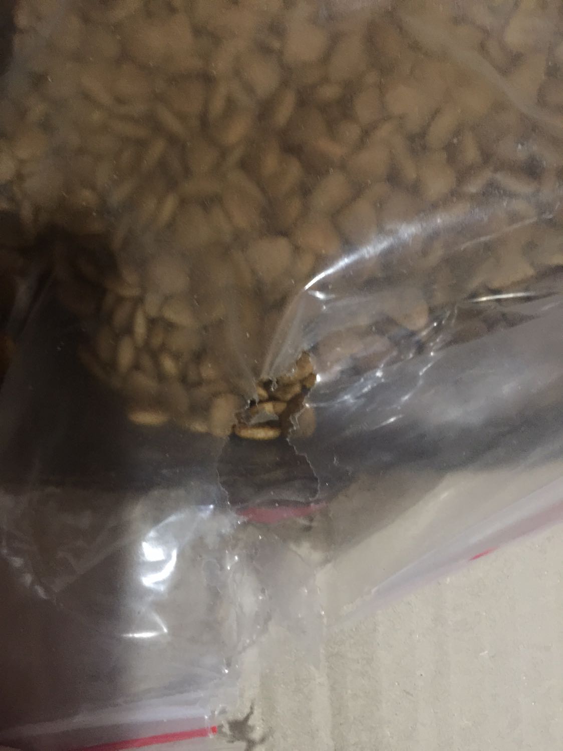 Hộp bị chuột cắn vô trong, rách luôn bao hạt đổ ra ngoài, vậy mà còn dán lại để lấp liếm giao khách. Ko rõ do nhà bán hay do bên kho mà phản ánh để Tiki làm việc lại. Nếu mèo ăn bị bệnh thì Tiki & nhà bán có đền được chăng?