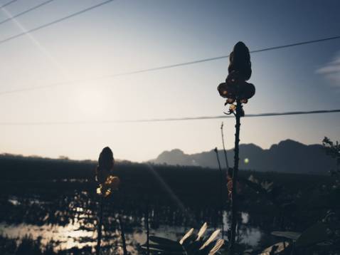 Hàng tốt . Mua lân đầu rát ưng nên mua thêm