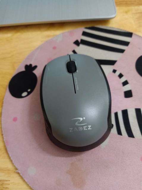 Chuột nhẹ, thiết kế đơn giản nhưng đẹp, dùng rất nhạy và mượt... nói chung hàng rất chất lượng. Gửi shop 5 sao.