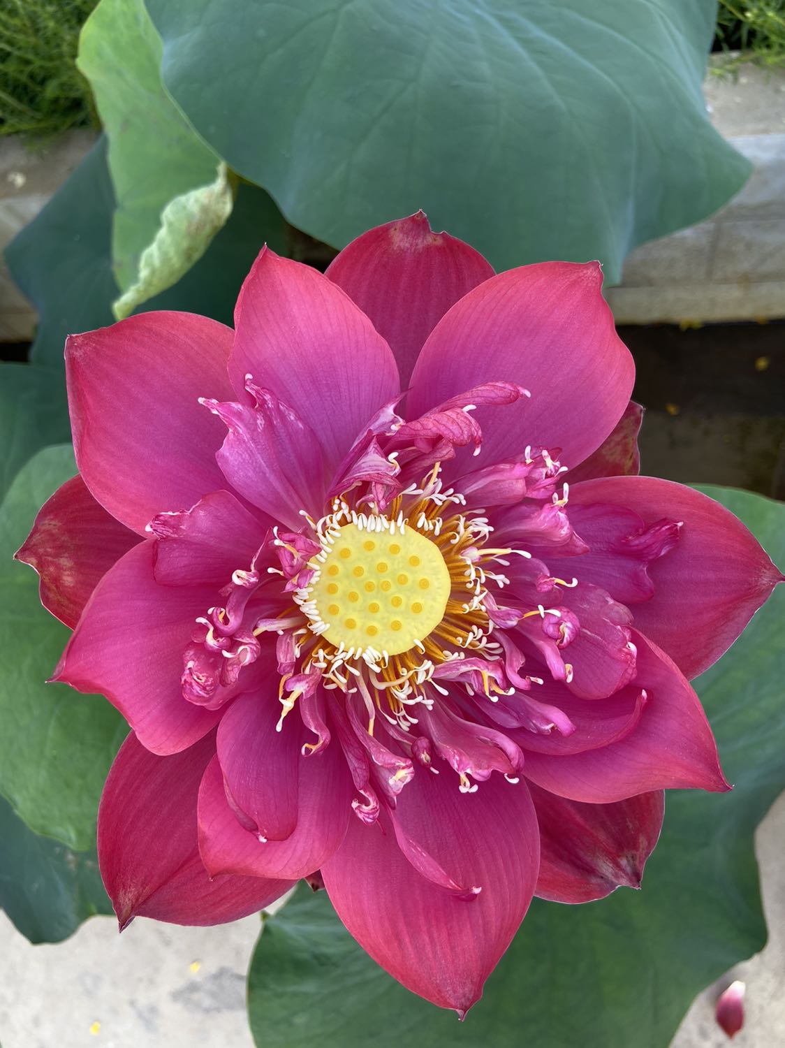 Chất lượng tốt , đóng gói cẩn thận .